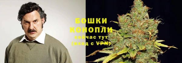 не бодяженный Бородино