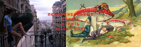 не бодяженный Бородино