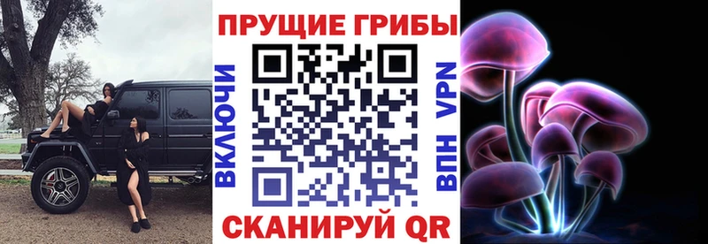 Купить  Великие Луки  Псилоцибиновые грибы Cubensis 