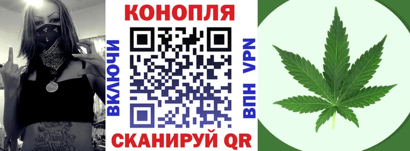 Купить где  Великие Луки  Бошки марихуана White Widow 